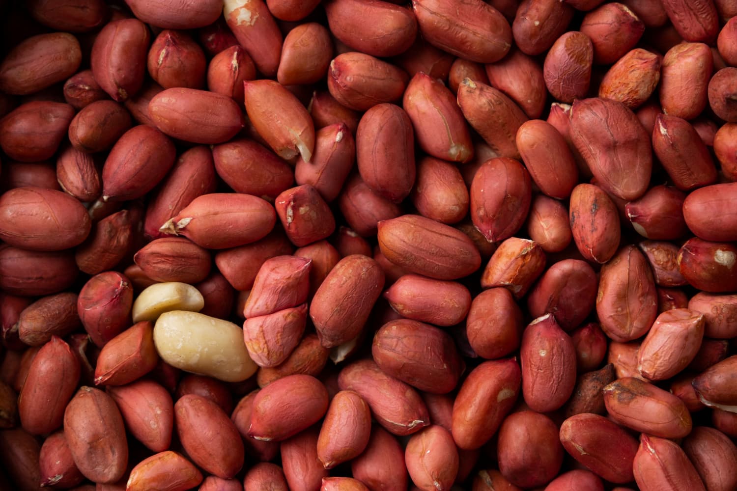 A close-up photograph showing a large quantity of raw shelled peanuts with reddish-brown skins.