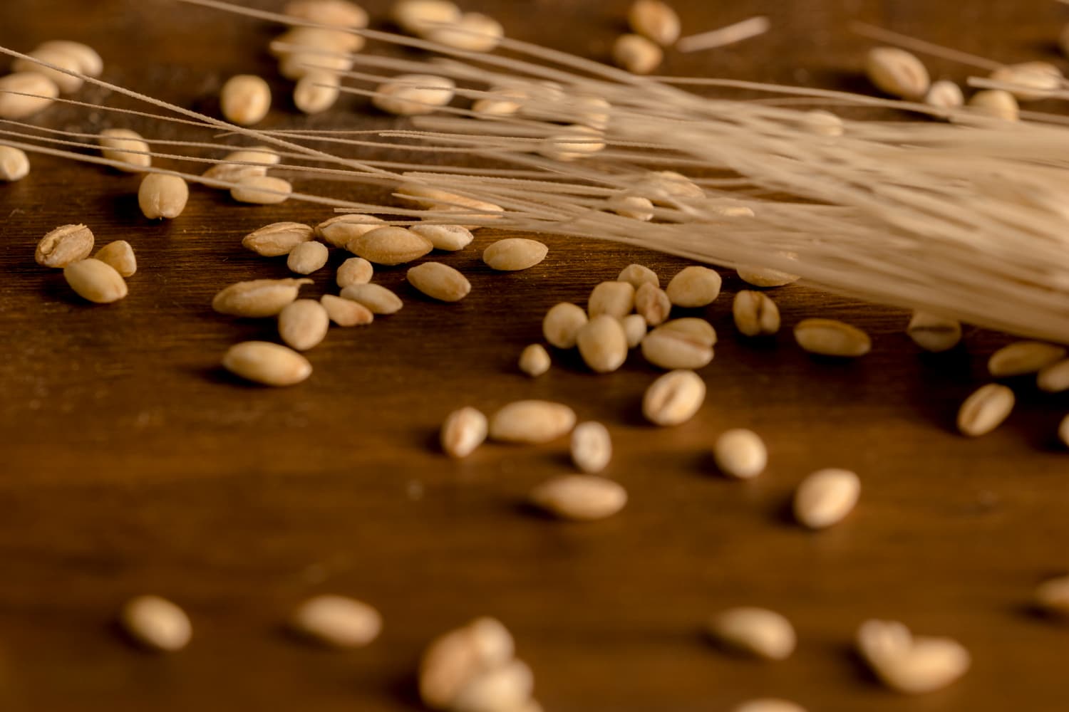 A close-up still-life photograph of wheat grains scattered across a dark wooden surface.